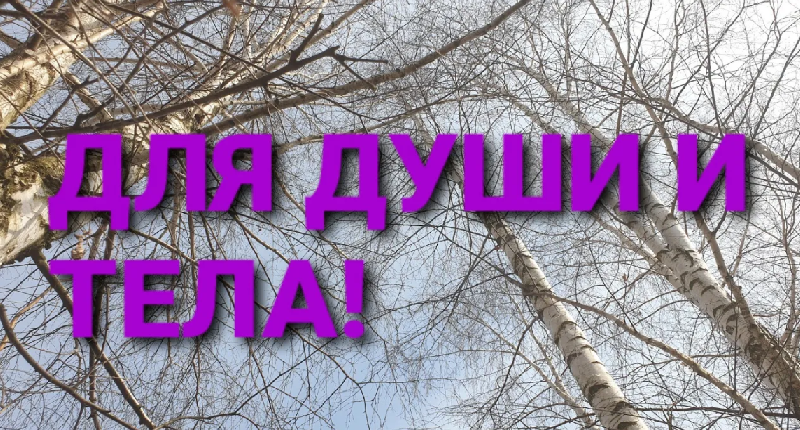 МЕТОД 21 ВЕКА! САМЫЙ СОВРЕМЕННЫЙ СПОСОБ ДОБЫЧИ БЕРЕЗОВОГО СОКА!!