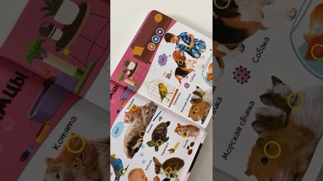 1,5-2 годика - возраст, когда малыш впитывает новые знания как губка! смотреть онлайн