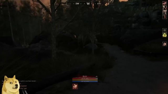Mortal Online 2 - The Most Underrated MMO of 2022 ⚔️