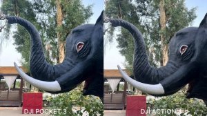 Dji Pocket 3 Vs Dji Action 4 Camera Test Leaks & Comparison