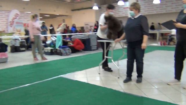 273 Моно. Екатеринбург 25.04.2021г. Идея фикс из Казанского ханства. смотреть онлайн