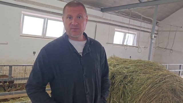 Место содержания АЛЬПИЙСКИХ коз! Как содержать коз? Самые молочные козы! Экоферма Козья горка