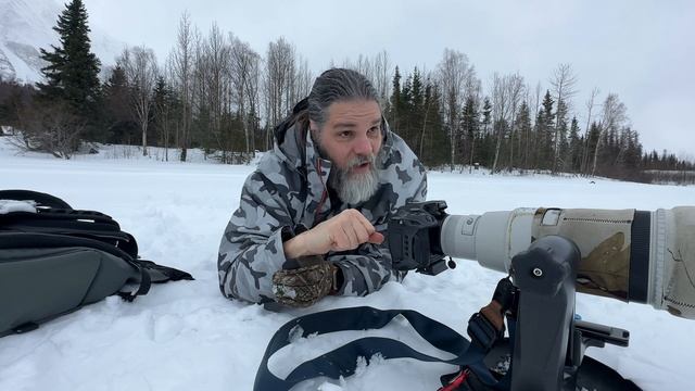 Canon R7 - Amazing Winter Trumpeter Swan Photography in Alaska! смотреть онлайн