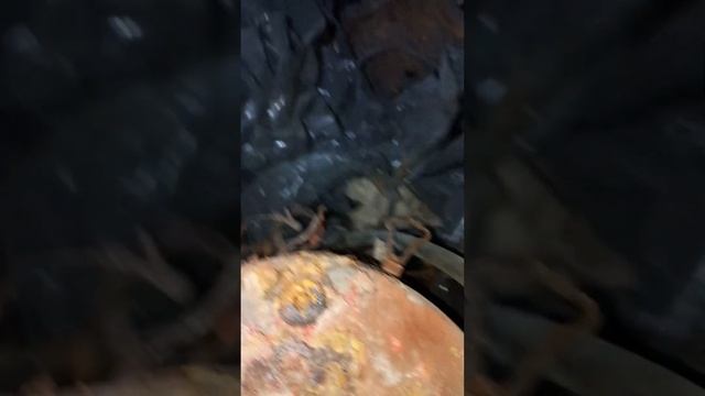 ПРОГУЛКИ ПО БОМБОУБЕЖИЩУ