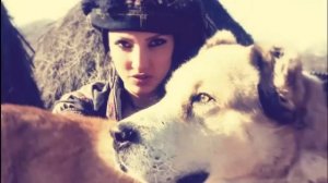 красивая Грузинская песня-магнолиа