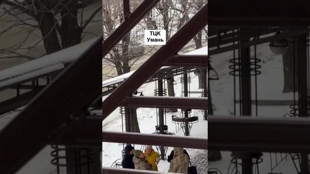 Могилизация в нэньке.