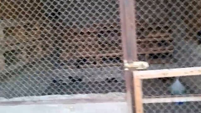  смотреть онлайн