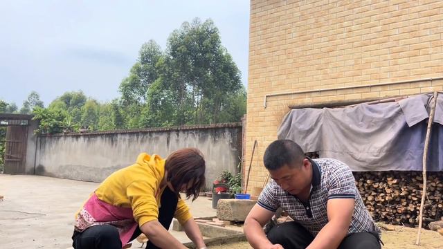 大姐和勇哥栽豇豆苗，中午捉只鸭子做啤酒鸭，一家人都爱吃【乡村大姐】