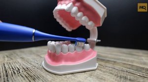 Polaris PETB 0105 TC обзор. Звуковая электрическая щетка с 5 режимами и 3 насадками