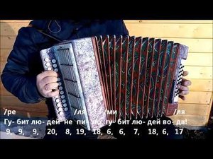 Губит людей не пиво (разбор на гармони)