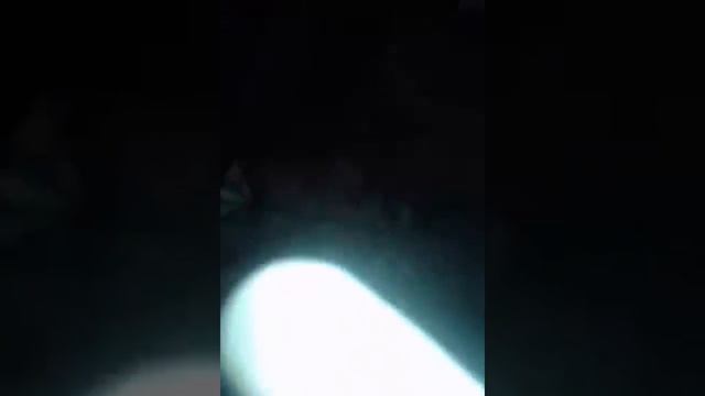 С братом бесимся смотреть онлайн