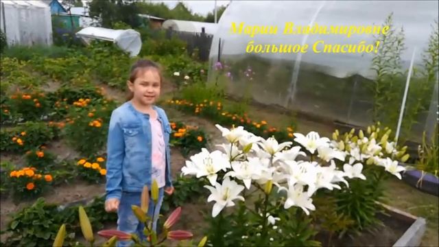 Благодарность сотрудникам детского сада от выпускников 2020 смотреть онлайн