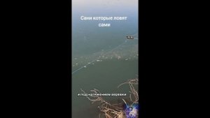 Лайфхак. Рыбалка, устройство сани. #Shorts