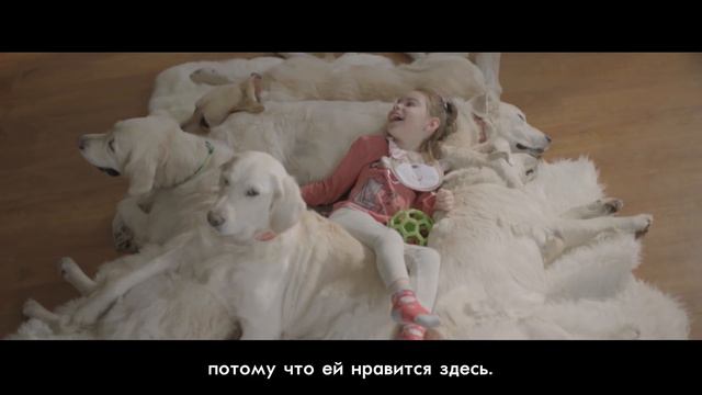 Истории дружбы: «Мой пушистый доктор».