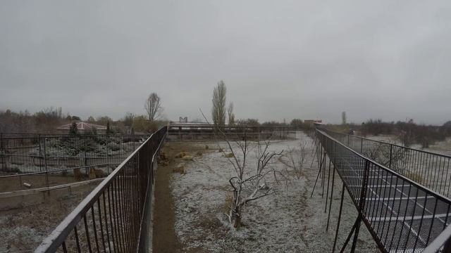 Этого никто никогда не видел ! КАК. МЫ ЗАГОНЯЕМ ЛЬВОВ на зимние квартиры ! смотреть онлайн