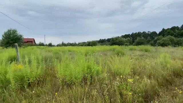 Продажа участка с. Ставище, Брусиловский район житомирской области смотреть онлайн