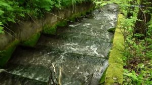 Хинганские каскады