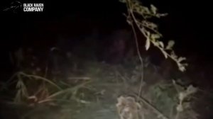 Монстры #63 Жуткий монстр в лесах Парагвая
