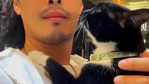 Абьюзивные отношения