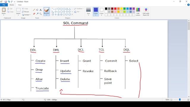 SQL Commands & Types || English || SQL-2 || Explained || We & Data