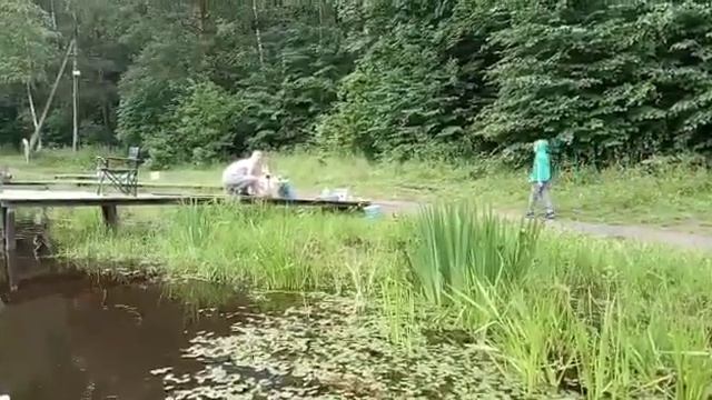 Рыбалка на платном водоёме клевое место поимка карпа смотреть онлайн