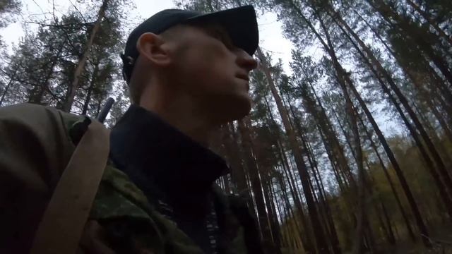 Проект  "охота на рябчика или сварливая белка"