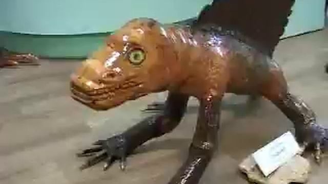 Уникальная выставка корнепластики открылась в алексинском краеведческом музее