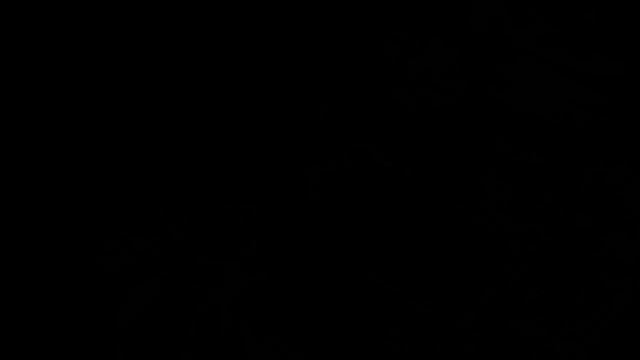 Git2 Action Camera Repair смотреть онлайн