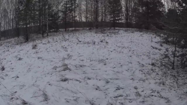 Охота на зайца с Русскими гончими 3 12 19 смотреть онлайн