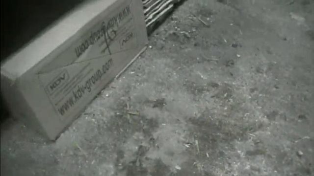 Как хранить гусиное яйцо. Гуси занеслись не смотря на мороз. смотреть онлайн