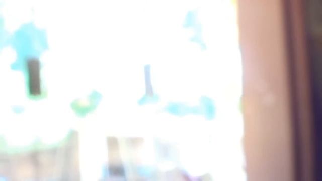 Sony HDR-CX190E zooming at random stuff смотреть онлайн