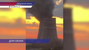 Певец Шаман выступил на Запорожской АЭС