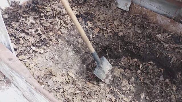 ВИЗИТ #10 Ч2. ДАЧА МЕЧТЫ : КАРТОФЕЛЬ ПОСАДИЛИ , А ТАК ЖЕ ВСЕ ЧТО ЗАПЛАНИРОВАНО - СДЕЛАНО ДАЖЕ БОЛЬШ
