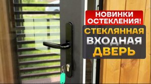 Стеклянная входная дверь из ПВХ от Рехау