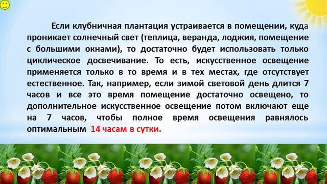 Свет и цветение земляники смотреть онлайн