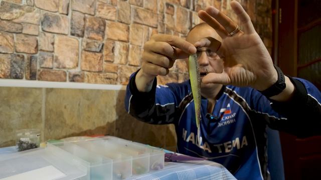 Лучшие приманки для ловли судака с Panoptix и Active Target смотреть онлайн