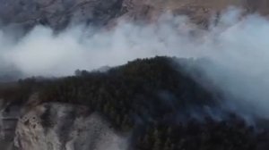уже 7 день горит лес именно лес в селе Куппа Левашинком район