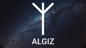 Руна Альгиз (Algiz) значение