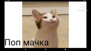 Страны на букву ч Pop cat