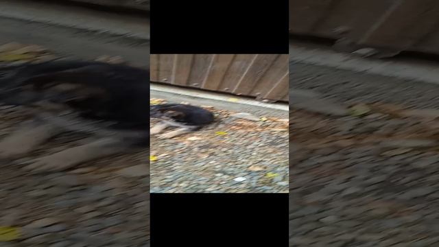 1000005020.mp4