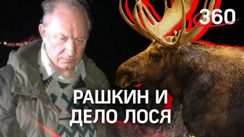 Бастрыкин занялся Рашкиным. Дело об убийство лося