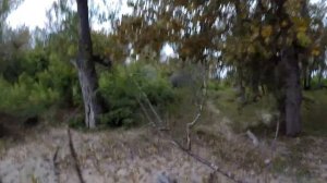 Сплав по Тоболу