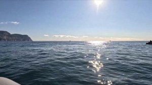 В Севастополь пришла кефаль!  Зимняя рыбалка на Черном море (Балаклава, Крым)