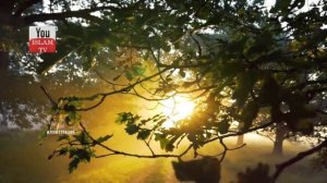 ПОЧЕМУ ПРОРОК МУСА ОТКАЗАЛСЯ УМИРАТЬ И УДАРИЛ АНГЕЛА СМЕРТИ В ГЛАЗ?