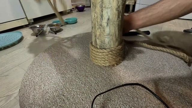 ПОДАРОК ДЛЯ КОШЕК // когтеточка из бревна смотреть онлайн
