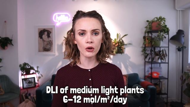 GROW LIGHTS MADE EASY | Best LED lights for plants