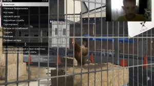 что такое режим режиссёра в GTA 5