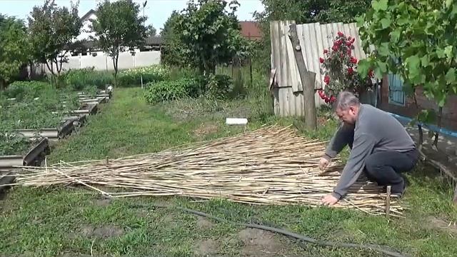 Беседка из хлама за 0,00 руьлей смотреть онлайн