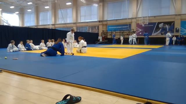 Тренировка по дзюдо младшей группы (29.02) - 17:30 смотреть онлайн