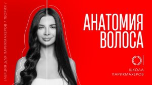 ОНЛАЙН–УРОК «АНАТОМИЯ ВОЛОСА — СТРОЕНИЕ ЛУКОВИЦЫ ВОЛОСА».